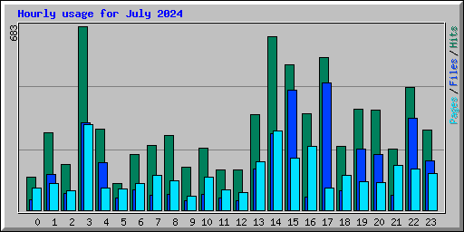 Hourly usage for July 2024