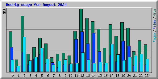 Hourly usage for August 2024