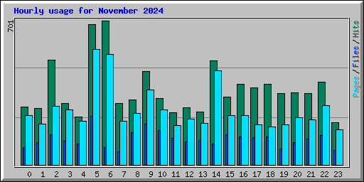 Hourly usage for November 2024