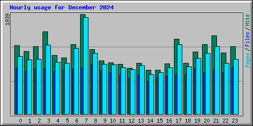 Hourly usage for December 2024