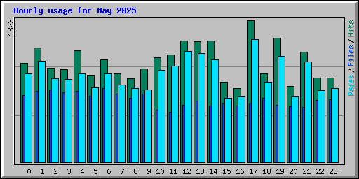 Hourly usage for May 2025