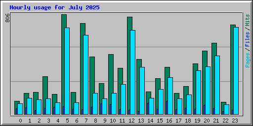 Hourly usage for July 2025