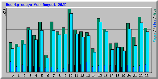 Hourly usage for August 2025