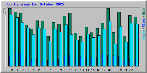 Hourly usage for October 2025