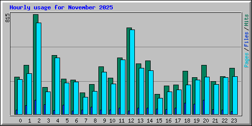 Hourly usage for November 2025