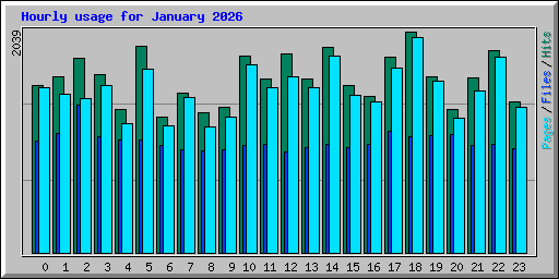Hourly usage for January 2026