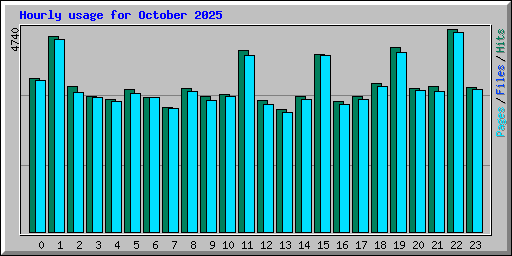 Hourly usage for October 2025