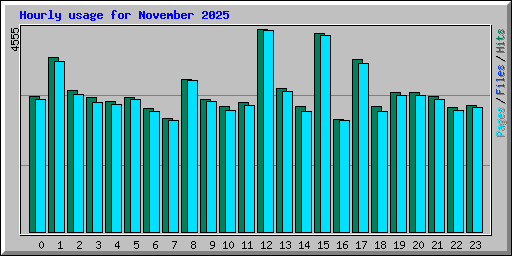 Hourly usage for November 2025