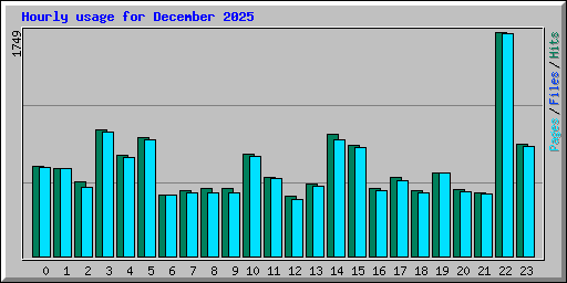 Hourly usage for December 2025