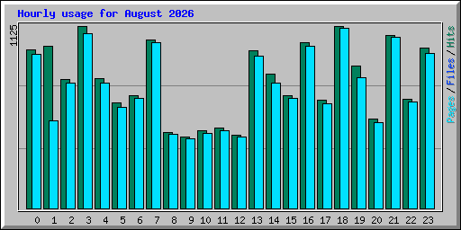 Hourly usage for August 2026